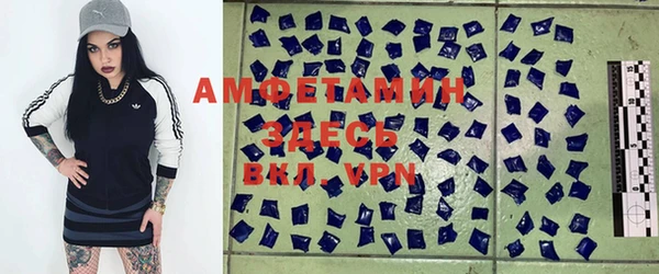 spice Богородск