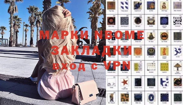 spice Богородск