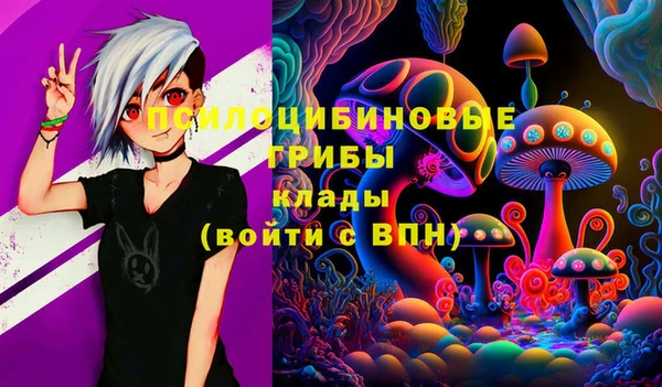 экстази Богородицк