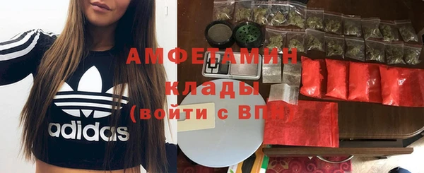 spice Богородск