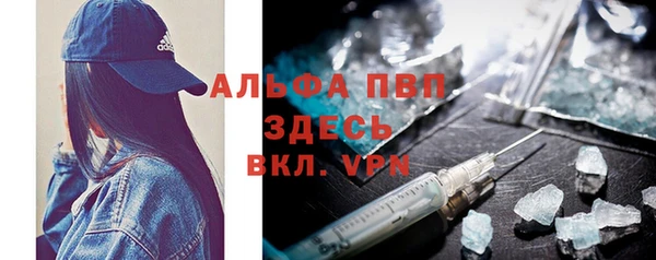 spice Богородск
