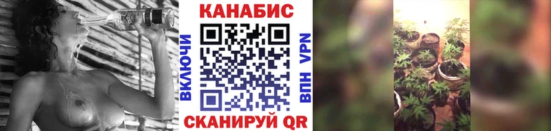 Шишки марихуана SATIVA & INDICA  Купить закладки  Давлеканово 